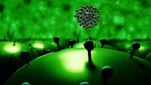 Animated Microscopic Virus Cell Cluster Interaction