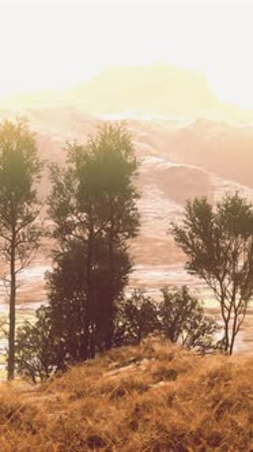 A Scenic Landscape with Trees and Mountains in the Background