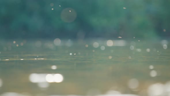 Calm River Surface with Insects Flying in the Air, Nature Stock Footage ...