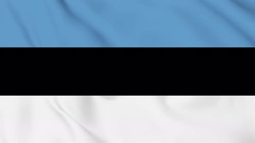 Realistic Waving Flag of Estonia Loop Animation