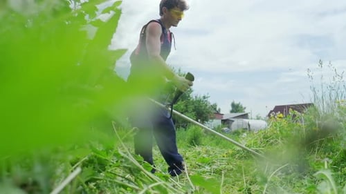 Worker and mower. Man uses a gasoline trimmer to mows a green grass in the garden