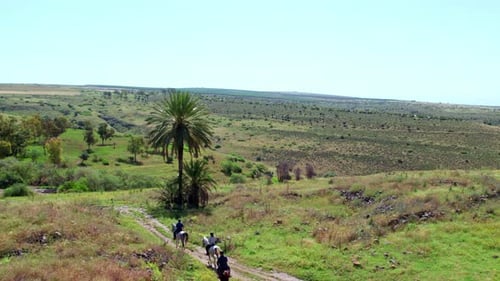 horse riding in the nature 2