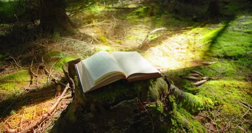 El viento pasa las páginas de un libro abierto con un destello de luz sobre un fondo verde de naturaleza forestal
