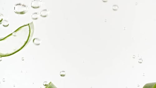 Aloe Vera Slices Falling Into Water