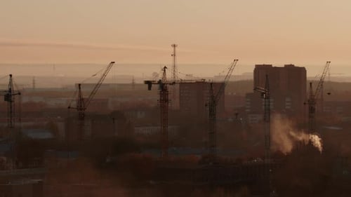 Cranes against Peach Sky at Dusk or Dawn
