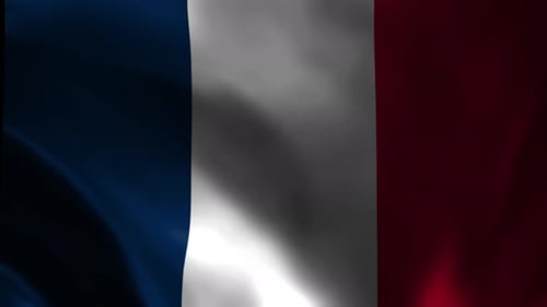 Vertical French Flag Waving Loop Background Animation