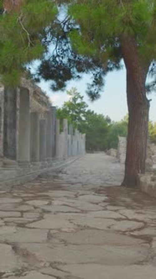 Vidéo verticale Les ruines antiques de Syedra surplombant la Méditerranée à Alanya allient la beauté des paysages