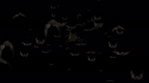 Flying Bats Animation With Black Alpha Channel. Halloween Bats Background. Fly Silhouette Bat. Ma...