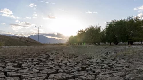 Cracked Earth Landscape at Sunset