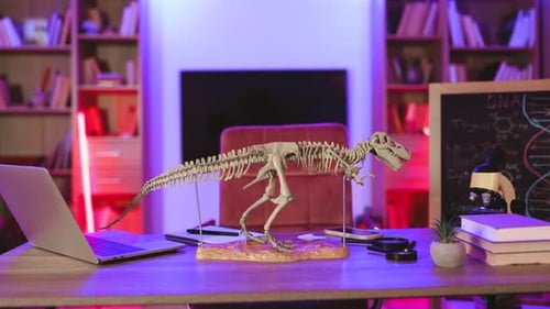 Nature Education Concept Materialsortiment Dinosaurierskelett