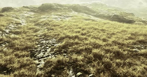 Seamless Grassy Field Fly-Through Nature Environment Background