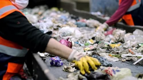 Workers Sort Waste on a Conveyor Belt