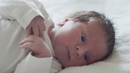 Closeup Portrait of a Young Baby Who Has Recently Been Born Newborn Infant Boy at Home Window Light