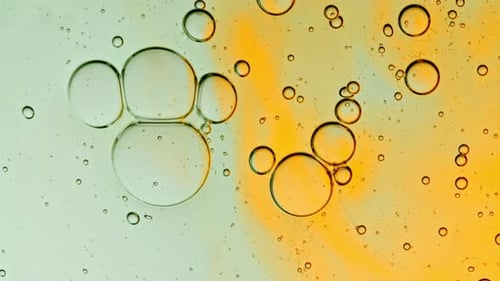 Bubble Cluster Cells Under a Microscope Transparent Multicolor Cosmetic Gel Fluid with Molecule