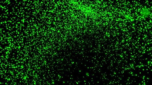 Abstract Green Particle Wave Flow Background Loop V6