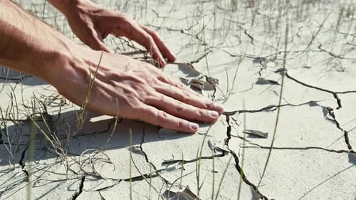 Hands Touch Dry Cracked Earth in Desert Setting