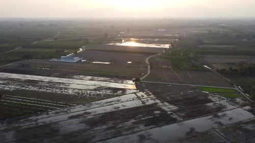 Aerial view of farmland with golden sunlight at sunrise in spring.