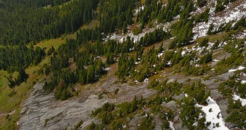 Aerial View Of Forest And Mountains. British Columbia, Canada.