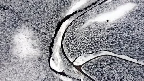 Aerial Shot of a Road with Cars in a Spruce Forest in Winter