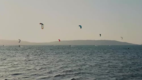 kitesurf at sunset. silhouettes of people kitesurfing. water sport