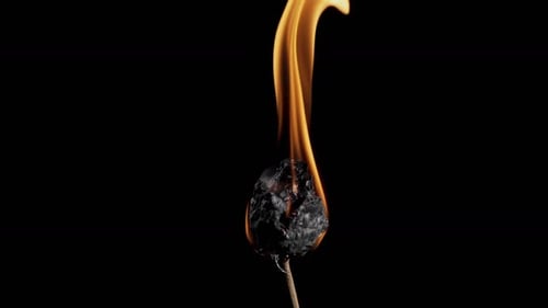 Close Up of Fire Burning on End of Stick