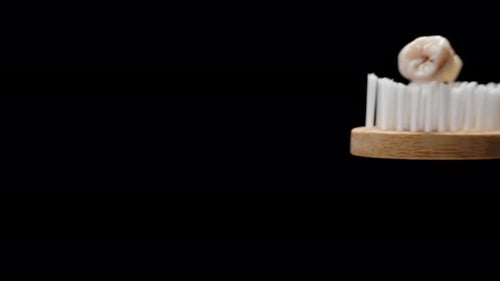 A Pulled-out Tooth Lies on a Toothbrush. Close-up on Black Background. Concept of Timely Dental