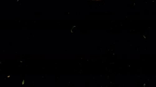 A Piece of Orange Slowly Falls Into the Water on a Black Background