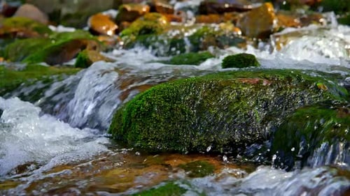 Mountain River on a Summer Day