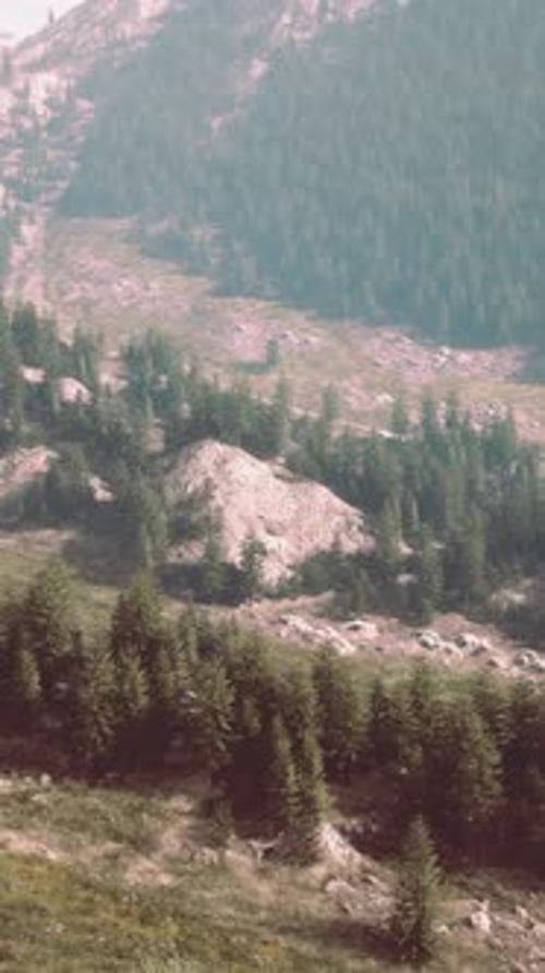 A Scenic Mountain Landscape with Trees and Rocks