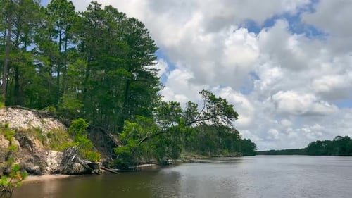 Riverside Forest Under Blue Skies A Scenic View of a River Bordered By Lush Green Forest Under a