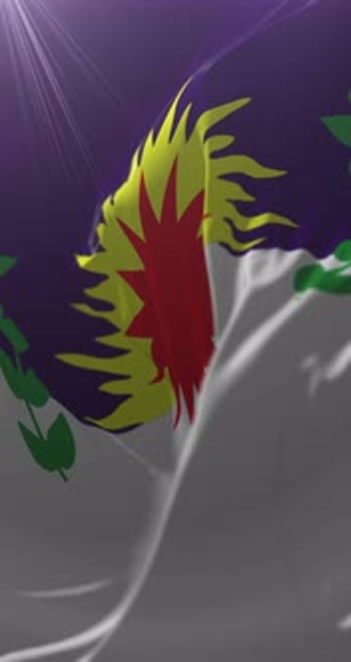 Artistic Waving Flag Animation with Stylized Sunburst Design