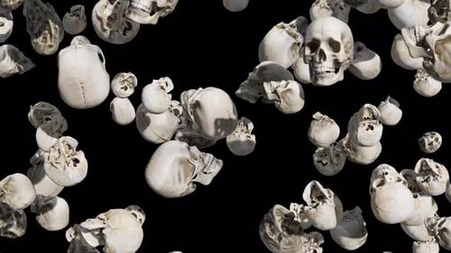 Seamless Loop of Falling 3D Skulls