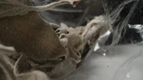 Dans un petit sac transparent, de l'herbe séchée, des feuilles de menthe pour le thé. Curseur macro Dolly
.