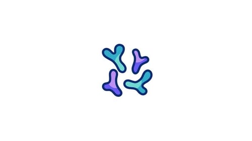 Enzyme Animated Icon