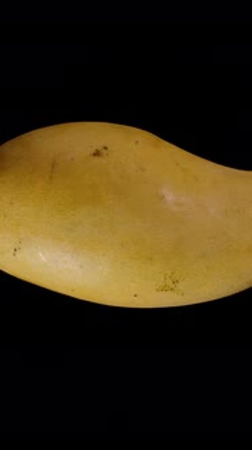 Vertical video. Mango Viewed from Top Rotating Seamlessly in Loop Isolated on Black Background with