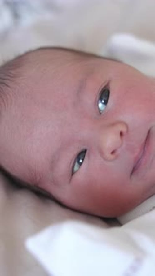 Baby Portrait, Calm Infant in Close-Up