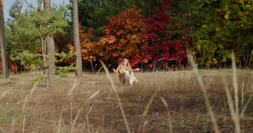 A Woman Walks with a Dog in a Picturesque Autumn Forest Against the Backdrop of Yellow Trees and