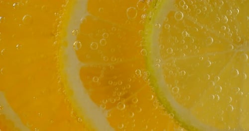 Refreshing Citrus Fruit Slices in Bubbly Water