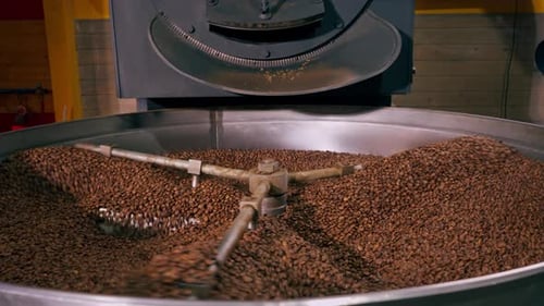 Closeup of a Coffee Roasting Factory Inside Drum Roasting Stirring Coffee