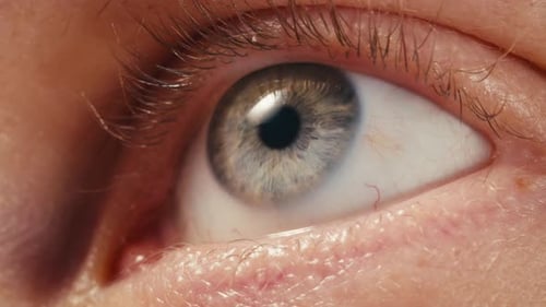 Macro détaillée en gros plan d'un œil d'homme Un œil bleu humain met en valeur ses caractéristiques complexes