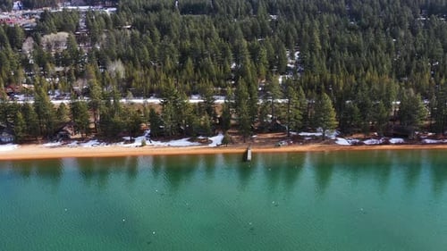 Dense Conifer Forests At The Calm Shore Of Lake Tahoe, California, United States. Aerial Drone Shot