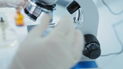 Scientists Using Microscope in Bio Lab and Experiment Concept Science and Technology