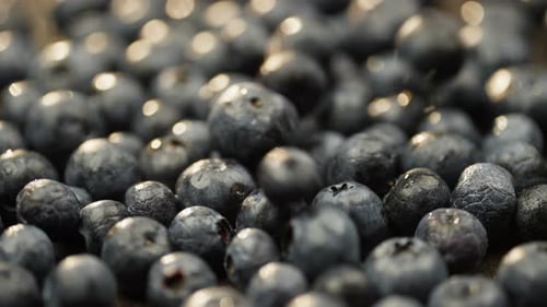 Background Slow Motion Video of Blueberries Falling on Berries