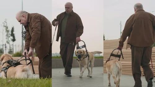 Split Screen of Visually Impaired Man Walking with Service Dog Outdoors in City