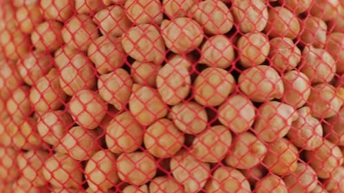 Chickpeas Close Up Food Background Chickpeas Texture Macro Raw Cereal Healthy Food