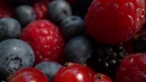 Colorful Berries in Macro Close Up Detail