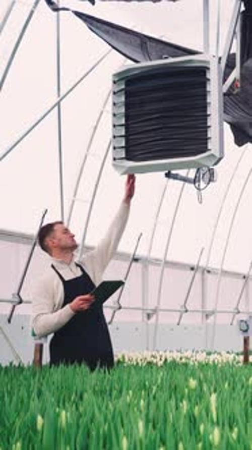 Man Agricultural Worker in Black Overalls Adjusting Ventilation System in Greenhouse Filled with