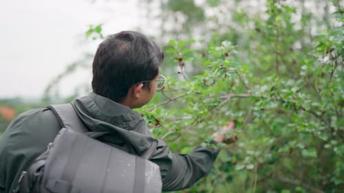 Young Adult Eating Freshly Picked Berries in Nature