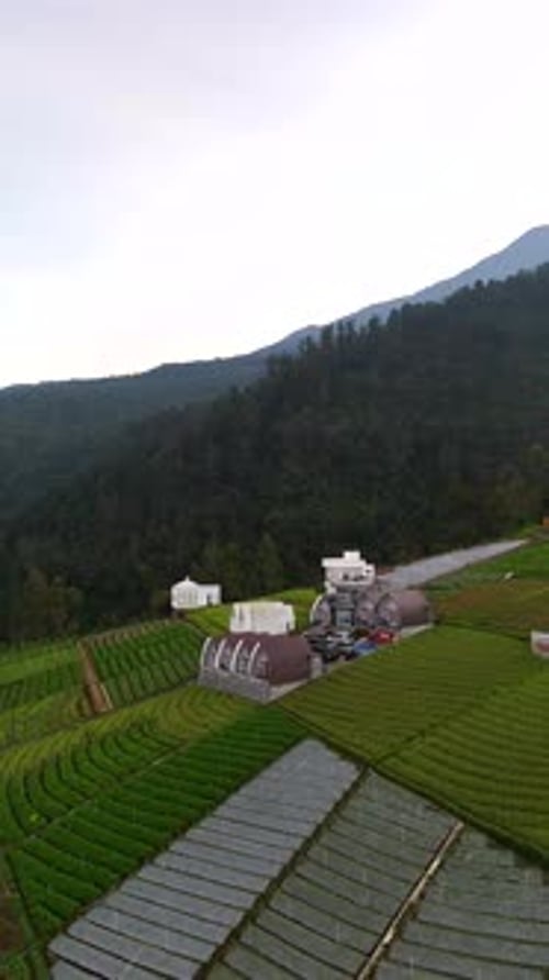 Glamping à Tawangmangu