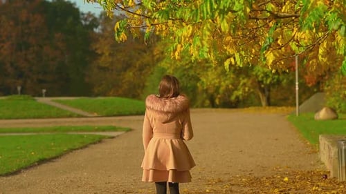 Young Girl In Brown Fur Coat Walking And Admiring The Autumn Colors In The Park. - wide slow motion
